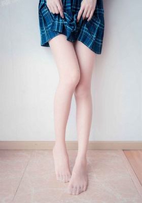 番茄视频在线观看