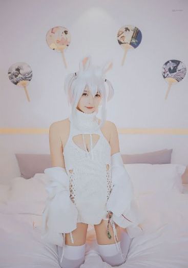 女人的选择 电视剧