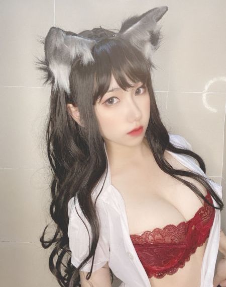 迷雾追踪