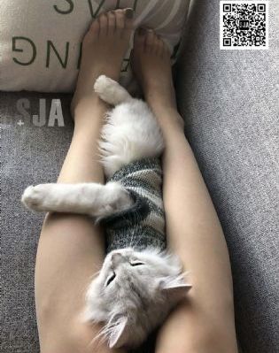 活埋电影