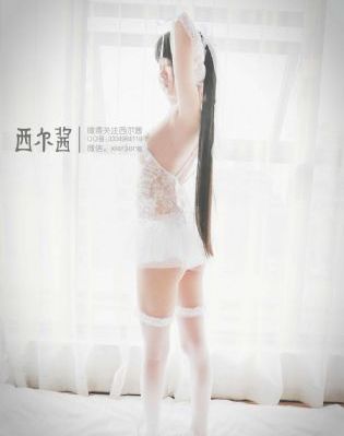 城市猎人在线观看
