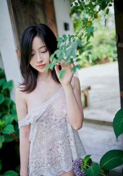 图腾领域第二季