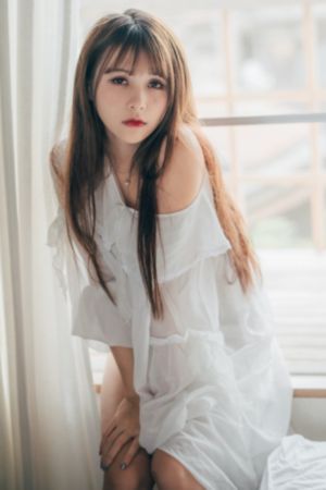 嘉庆王朝