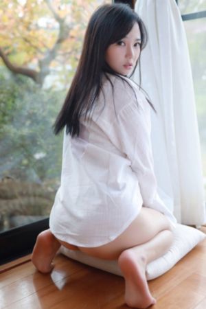 完美世界动画