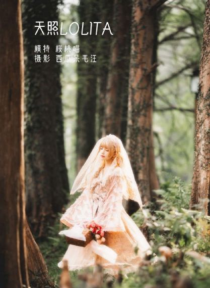电视剧欢乐家长群