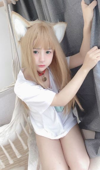 高h文小说
