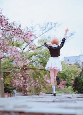 锦月如歌电视剧免费观看