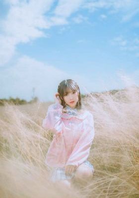 冲锋队之怒火街头国语免费完整版
